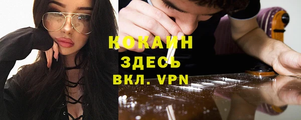 ECSTASY Алзамай