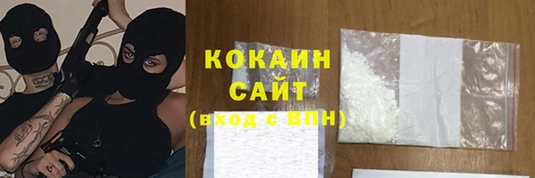 ECSTASY Алзамай