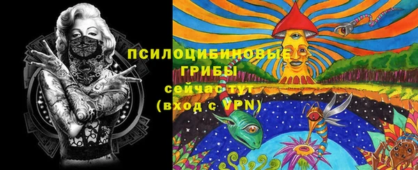 ALPHA PVP Алексин