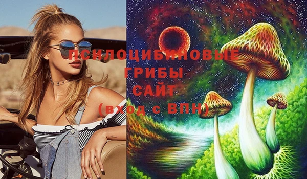 ГАЛЛЮЦИНОГЕННЫЕ ГРИБЫ Алексеевка