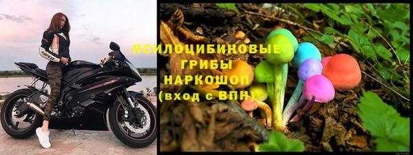 ГАЛЛЮЦИНОГЕННЫЕ ГРИБЫ Алексеевка